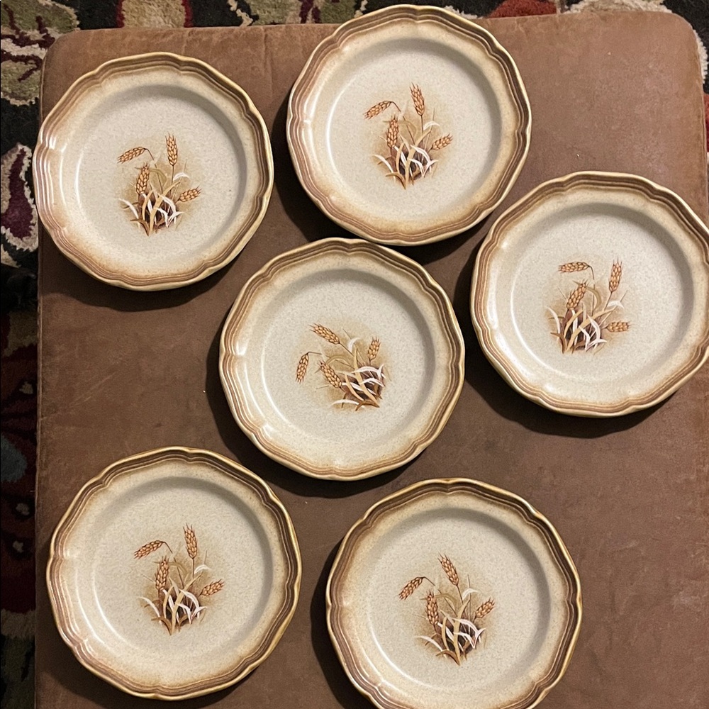 6  Vintage Mikasa Whole Wheat Granola salad plates
